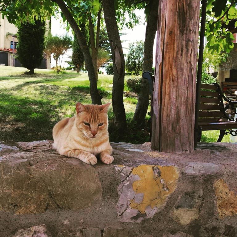 Agriturismo San Nicolo Villa Montecastelli Pisano Bagian luar foto